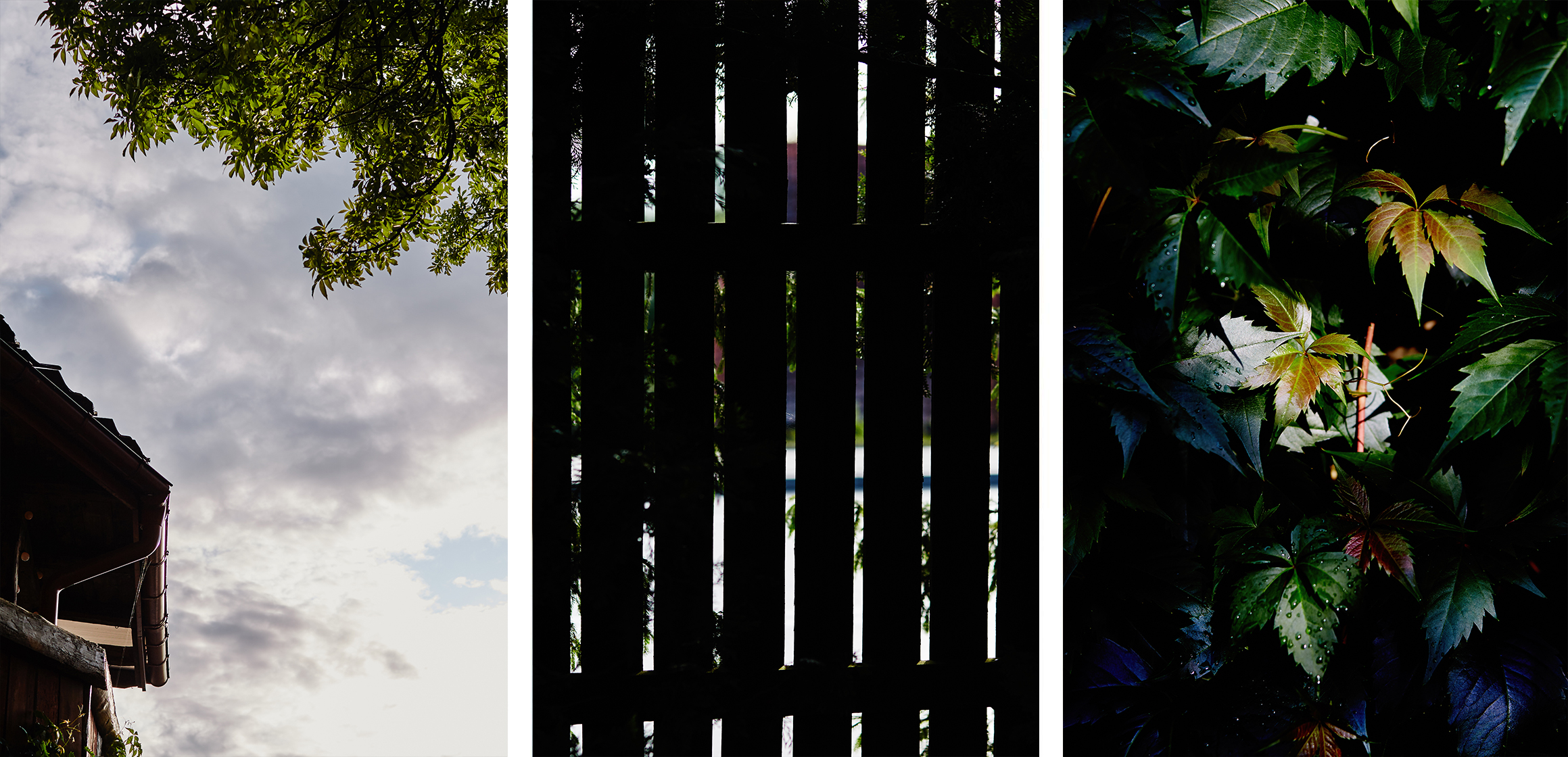 Wieczór panieński Patrycji